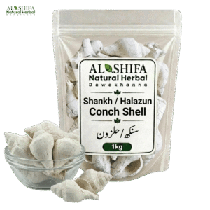 سنکھ/حلزون