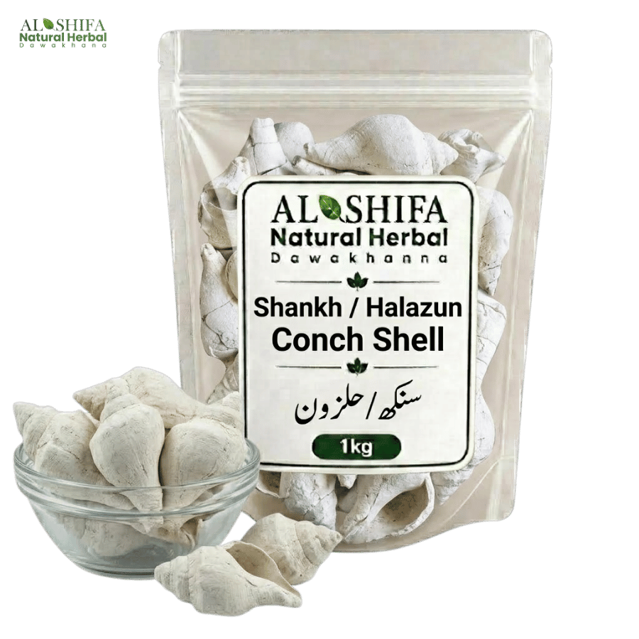 سنکھ/حلزون