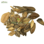 سورنجان تلخ