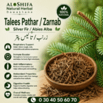 زرنب – تالیس پتر