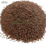 تودری سرخ