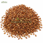 تودری سرخ