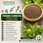 تخم کنو چہ