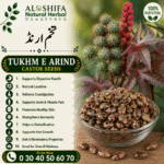 تخم ارنڈ
