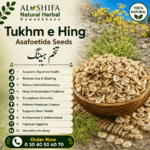 تخم ہینگ