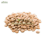 ترمس