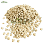 ترمس