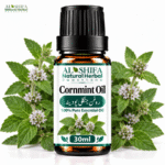 روغن جنگلی پودینہ