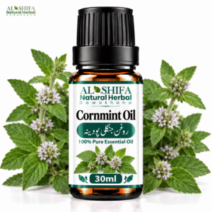 روغن جنگلی پودینہ