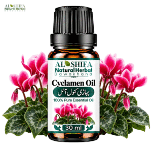 پہاڑی کنول آئل