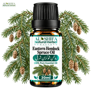 روغن شوکران شرقی