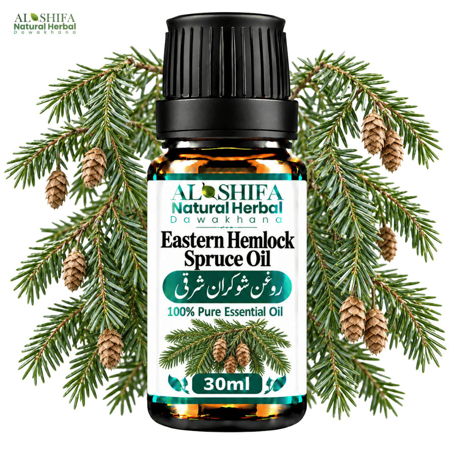 روغن شوکران شرقی