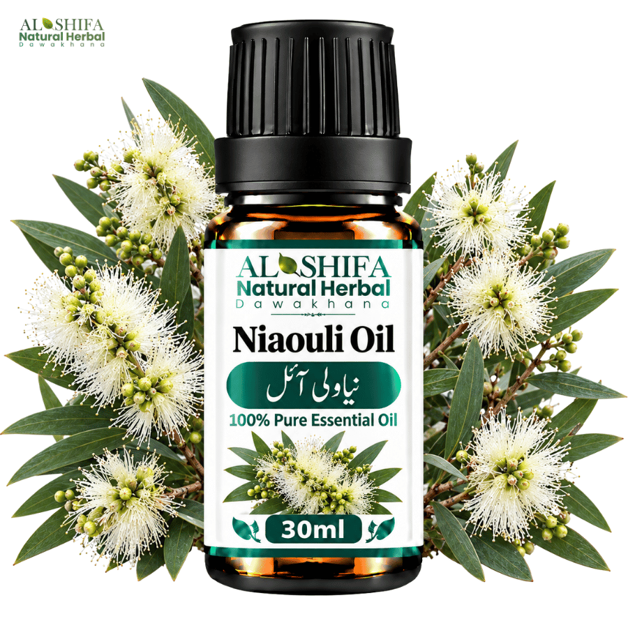 نیاولی آئل